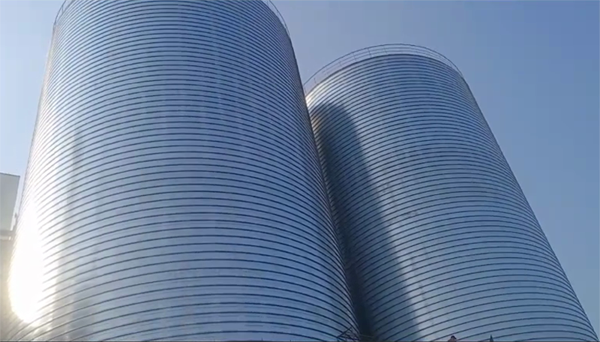 龙门镇2座混凝土高架卷板仓